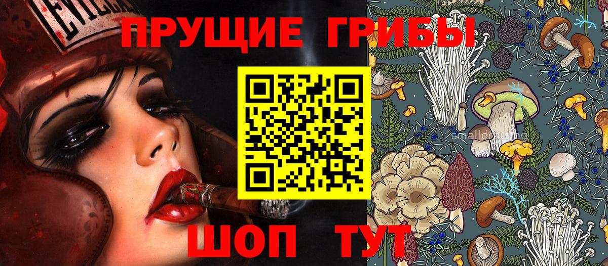 Лабинск  Псилоцибиновые грибы мицелий  Галлюциногенные грибы прущие грибы  Вход с VPN 